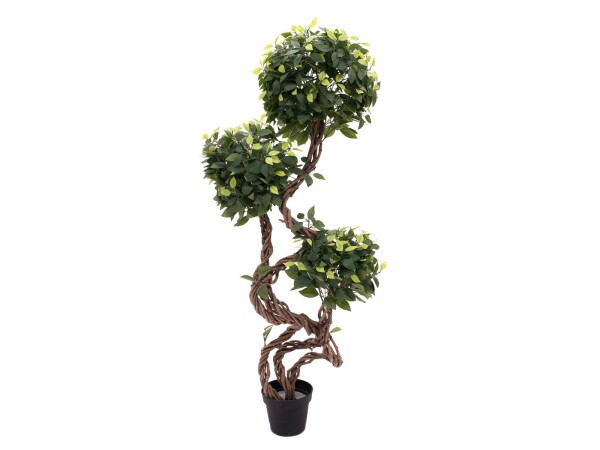 Ficus spiral trunk, artificial plant, 160cm