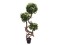 Ficus spiral trunk, artificial plant, 160cm