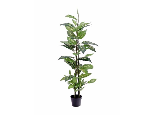 Dieffenbachia, artificial, 120cm