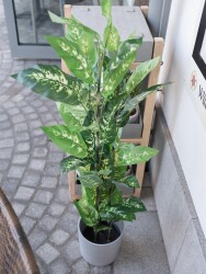 Dieffenbachia, artificial, 120cm