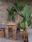 Banana tree, artificial plant, 170cm