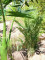 Kentia Palme, Kunstpflanze, 140cm