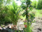 Kentia Palme, Kunstpflanze, 140cm