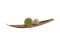 Succulent Ball (EVA), artificial plant, green, 20cm