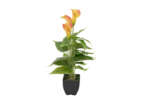 Mini Calla, artificial plant, yellow-orange, 43cm