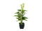 Mini Calla, artificial plant, white, 43cm