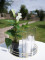 Mini Calla, artificial plant, white, 43cm