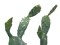 Nopal cactus, artificial plant, 76cm