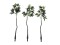 Pachira ball tree, artificial plant, 160cm