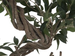 Ficus multiple spiral trunk, artificial plant, green, 130cm