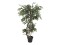 Ficus multiple spiral trunk, artificial plant, green, 130cm