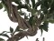 Ficus multiple spiral trunk, artificial plant, green, 130cm