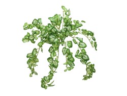 Nephthytis bush, artificial, 50cm