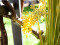 Reed Grass Bunch, artificial, 118cm