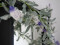 Flowering Garland, artificial, white, 180cm