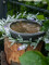 Flowering Garland, artificial, white, 180cm