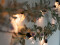 Flowering Garland, artificial, white, 180cm