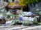 Flowering Garland, artificial, white, 180cm