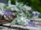 Flowering Garland, artificial, white, 180cm