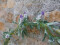 Flowering Garland, artificial, white, 180cm