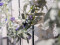 Flowering Garland, artificial, white, 180cm