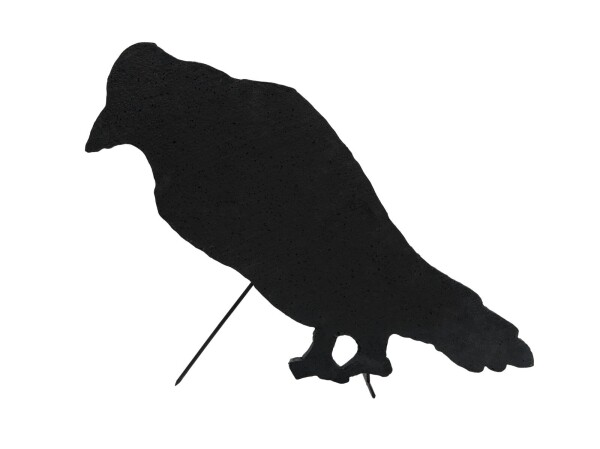 Silhouette Crow, 63cm