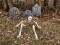 Halloween Tombstone Set