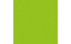 Handheld confetti cannon Pro 80cm Light Green