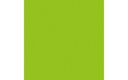 Electric confetti cannon Pro 80cm Light Green