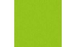 Electric streamer cannon Pro 80cm Light Green