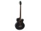 AB-455 Akustikbass, 5-saitig, schwarz