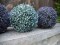 Grass ball, artificial, blue, 22cm
