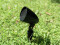 PS-2.5GS Projector Speaker, black, 2x