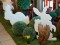 Silhouette Bunny, white, 56cm