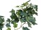 Ivy bush tendril classic, artificial, 70cm