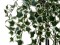 Holland ivy bush tendril classic, artificial, 60cm