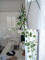 Holland ivy bush tendril classic, artificial, 70cm