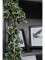 Holland ivy bush tendril classic, artificial, 70cm