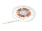 LED Strip 300 5m 3528 3000K 12V