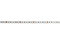 LED Strip 300 5m 3528 3000K 12V