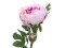 Peony Branch classic, artificial plant, pink, 80cm