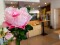 Peony Branch classic, artificial plant, pink, 80cm