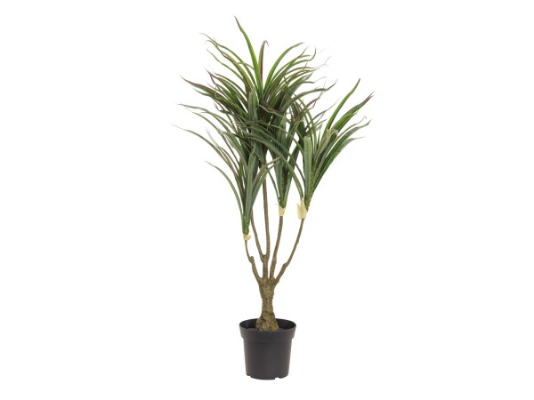 Dracena, künstlich, grün-rot, 90cm