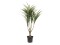 Dracena, künstlich, grün-rot, 90cm