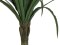 Dracena, green, artificial, 220cm
