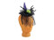 Halloween Costume Witch Hat with Spider