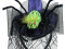 Halloween Costume Witch Hat with Spider