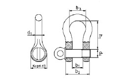 Schäkel 3,25t 5/8" SB schwarz
