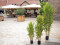 Bamboo deluxe, artificial plant, 150cm
