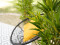 Bamboo deluxe, artificial plant, 150cm